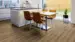 Laminatgolv, Classic Edition, Oak Scotch Saloon, Planka