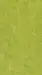 DLW Marmorette linoleum, Limegrön