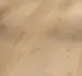 Parador vinyl Classic 2070 - Ek Natural Mix ljus borstad struktur, Planka