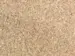 LVT vinylklik - Kingsize, Ljus Natur - Sillben 185