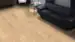Sillbens storformat Prestige - Ek invisible Sauvage borstad nD