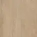 BerryAlloc Ocean+ 12 XL - Jazz Sand Natural