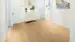 Laminatgolv, Trend Edition, Oak Japandi, Bred Planka