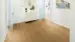 Laminatgolv, Trend Edition, Oak Pure, Bred Planka
