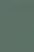 Kelp