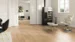 Element Collection,, Oak Plaza Mayor, 3-stav