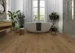Moods of Provence, Oak La Torse