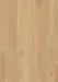 BOEN Ek Animoso, Plank