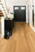 BOEN Ek Transparent Andante, Plank