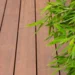 Bambu N-durance® terrassbrädor 137 mm. -
