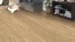 DISANO Plankgolv LifeAqua XL, Björklärk puro