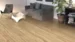 DISANO Plankegulv LifeAqua, Bjerglærk puro