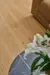 Nordheim Plank, 9574 Natur ek