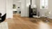 Light Collection, Oak Tropea plank