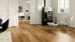 Light Collection, Oak Killarney plank