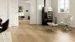 Light Collection, Oak Calvi plank