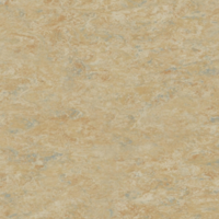 Tarkett Veneto xf² Camel