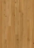 BOEN Ek Animoso, Plank