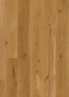 BOEN Ek Animoso, Plank