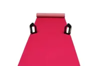 Rosa Running In Needle Felt