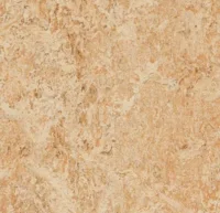 Marmoleum Real - Shell