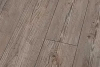 Prignitz Pine Högblank