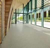 Marmoleum Terra - Alpine Mist