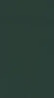 DLW Uni Walton linoleum, Racing Green