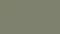 Tarkett LinoWall Crocodile