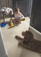 Pergo Aura Pro - Coral Stone