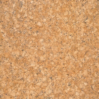 Gerfloor vinylgolv - Primetex Cork Natural