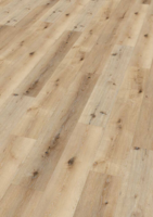 Ter Hürne, Friends Oak Carl, planka