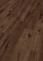 Ter Hürne, Friends Oak Anna, bred planka