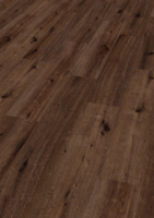 Ter Hürne, Friends Oak Anna, bred planka