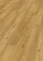 Ter Hürne, HDF - Friends Oak Conny, planka