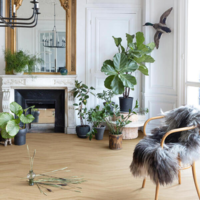 BerryAlloc Parqwood Sillben - Oak Calm Nature