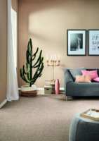 VORWERK Passion 1003