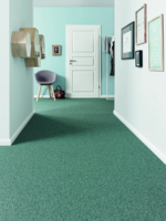 VORWERK Passion 1005