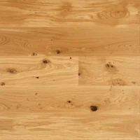Moland Wideplank, Ek Trend